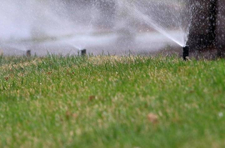 Las Vegas trees may be a necessary casualty in water crisis 