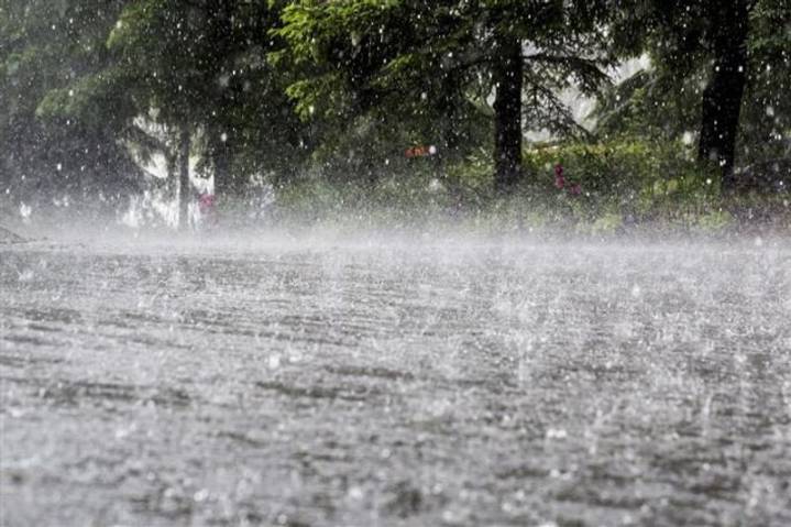 Heavy rain batters Kerala, orange alert in six districts