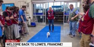 Francine the cat is back at Lowe's