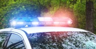 Child struck and critically injured in Silver Spring pedestrian collision