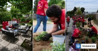 Terapia de Hogar de Easy entrega renovado jardín a niños y familias de Fundación Nuestros Hijos