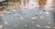 Incoming storm ushers in the feeling of fall weather