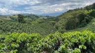 “Operación polinizador” impulsa la biodiversidad
