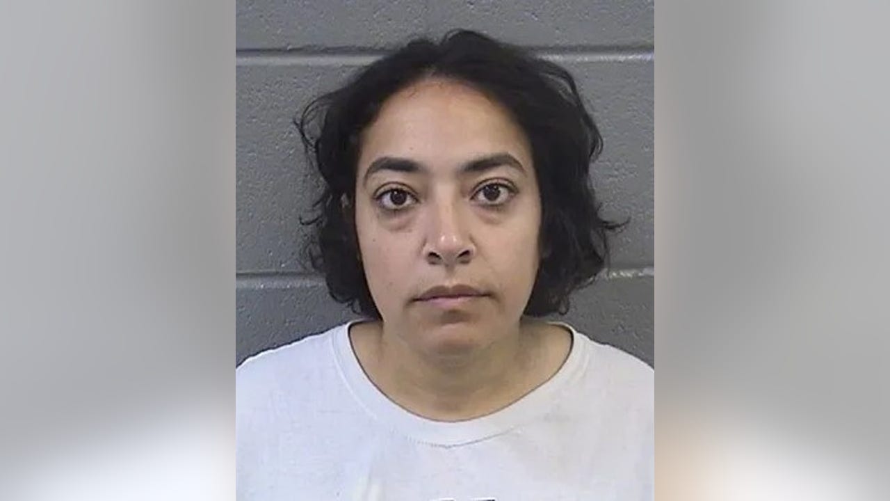 University of Chicago professor charged with felonies after ICE protests in Broadview