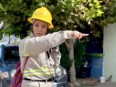 Exigen sancionar a trabajadora de la CFE por rociar gas pimienta a perritos