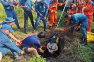 Woman clings to life for 54 hours after falling into snake