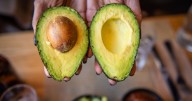 Así es como tres países de Sudamérica apuntan a desafiar el dominio del aguacate de México