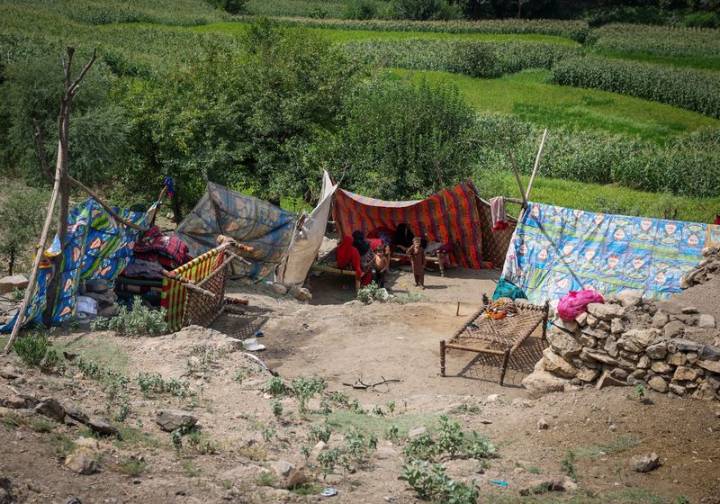 Tens of thousands in urgent need of shelter after Afghan quake, aid group says