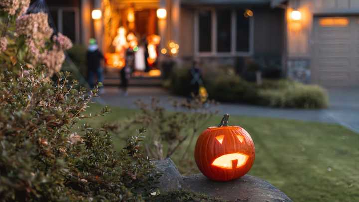 Transform Pool Noodles Into A Whimsical DIY Pumpkin Trellis For Halloween