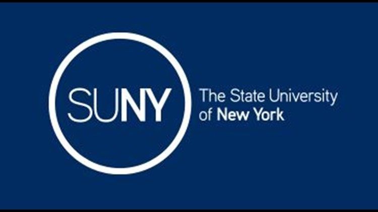 N.Y. Announces $10 Million Investment in SUNY Brain Research