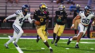 How different positions grade, star college player or high NFL draft pick?