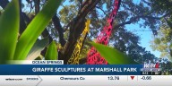 Giraffes pop up at temporary Ocean Springs art exhibit