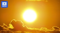 Extreme heat forceast for NSW as cyclone-strength winds threaten Victoria and SA