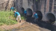 Programa de mitigación de riesgo llega al caño de Las Cayenas