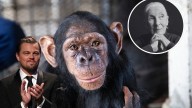 Fallece Jane Goodall, investigadora de la 'vida salvaje'; Leonardo DiCaprio la admiraba por esta raz