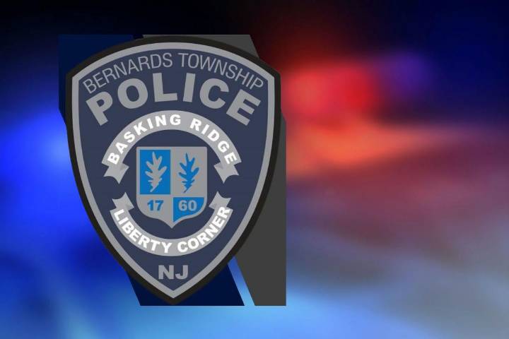 Sitter arrested in Bernards designer theft case