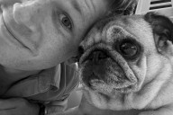 Robert Irwin's Dog Stella Has Cancer