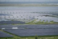 Solar and wind power has grown faster than electricity demand this year, report says