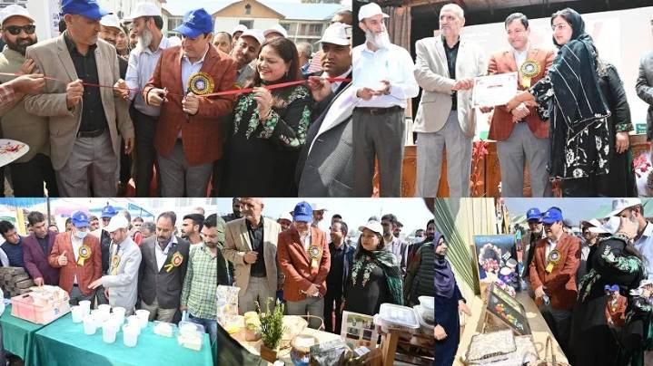 Minister Javid Dar calls for livestock entrepreneurship, district