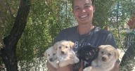 Grants animal shelter closes to address overcapacity
