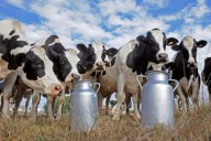 La producción y las exportaciones lácteas crecen, pero advierten que se requiere superar un desafío