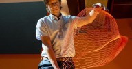 Polytechnique engineers design low-cost, Japanese kirigami