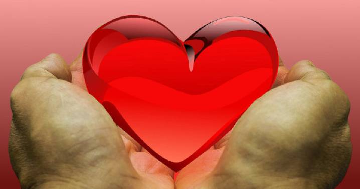 La donación de órganos: un acto de amor que transforma la pérdida en esperanza