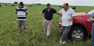 La mayoría de los productores teme que vuelva el populismo pero no están dispuestos a invertir ahora