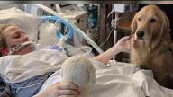 Woman reunites with medical team in Pembroke Pines after being in a coma for 7 months