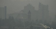 UW Study: Wildfire smoke impacts sperm quality