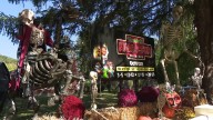 Knoebels transforms into spooky wonderland for Hallo