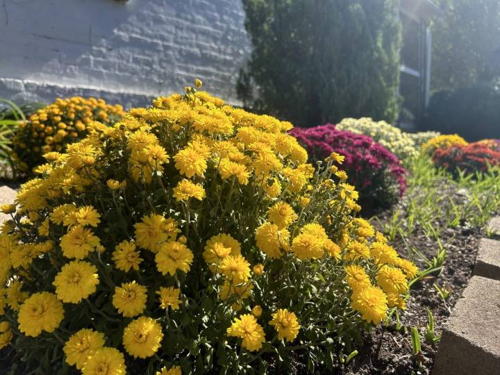 What’s happening in the Mid-Hudson Valley: Oct. 3, 2025