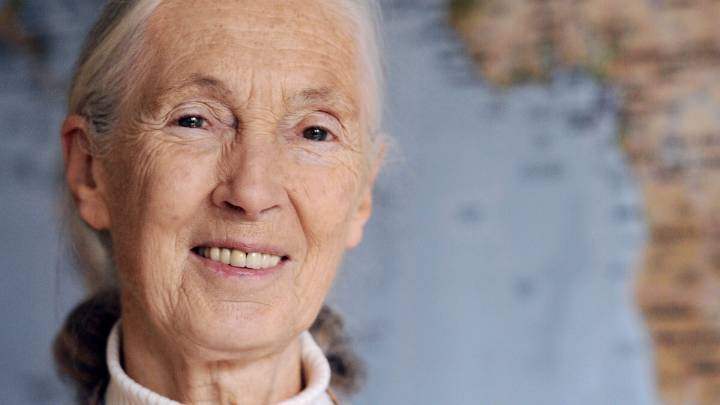 Jane Goodall, legendary primatologist, has died at age 91