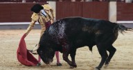 Sin toros bravos, todo queda en nada