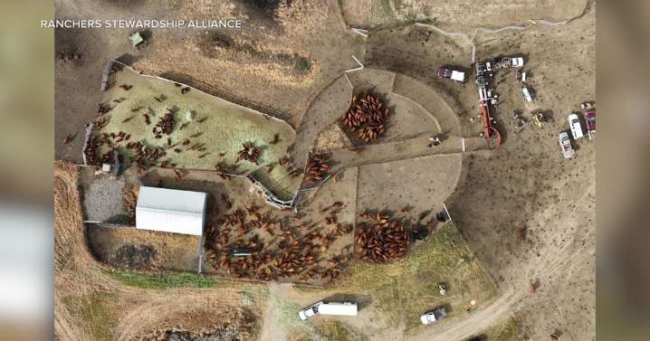 Phillips County couple donates ranch to Ranchers Stewardship Alliance