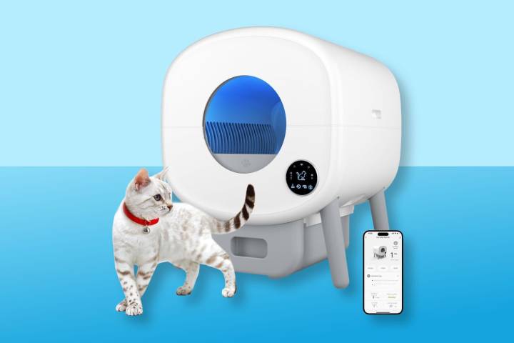 This Self-Cleaning Litter Box Is on Sale at Amazon for Just $200