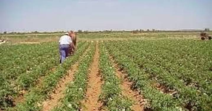 Casi uno de cada cuatro castellanos y leoneses en riesgo de pobreza
