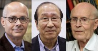 U.S. scientist among trio awarded chemistry Nobel for developing new molecular architecture