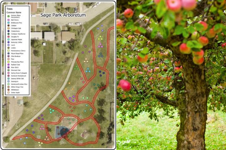 Sage Park Arboretum Aims To Enhance Casper’s Outdoor Life