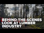 Flathead Timber Tour gives behind the scenes look at lumber industry