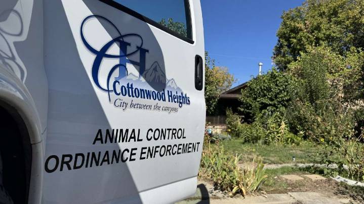 Police, animal control workers remove dozens of cats from Cottonwood Heights home