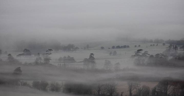 Met Office yellow weather warning as fog could cause 'disruption' across England