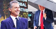 Gavin Newsom Roasts Donald Trump, 79, Over Umbrella Struggles