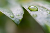Portland should see a mixed bag of weekend weather