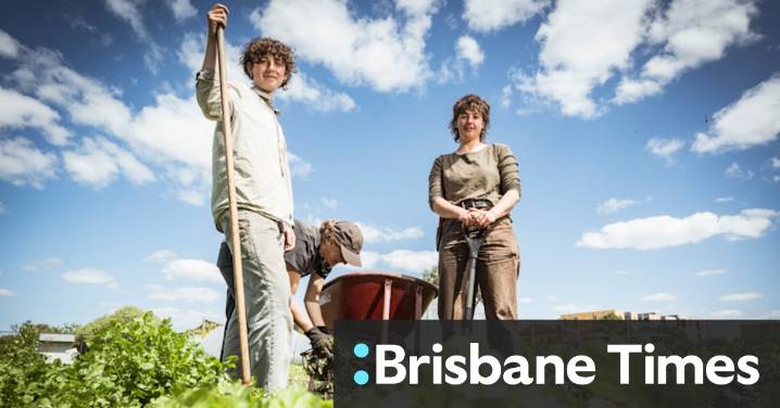 Urban farming Australia: Farm Raiser urban farm, Bellfield, Melbourne, Pocket City Farms market garden lead a growing produce trend