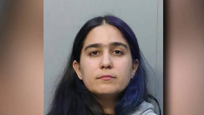 Libre bajo fianza pareja de la hija de Gloria y Emilio Estefan