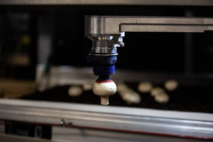 From a wildfire protection kit to a ticket-purchasing platform, this is what the top growing companies in Alberta and B.C. are creating