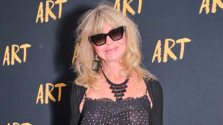 Side-By-Side Pics Of Goldie Hawn's Transformation Are Head