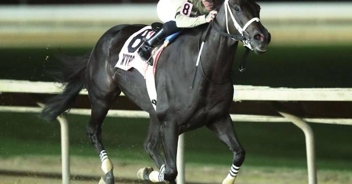 Teachintherelease captures Sam Huff West Virginia Breeders' Classic