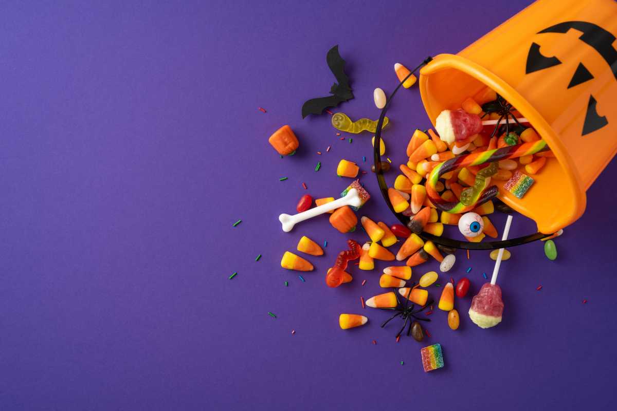 Things to do this weekend in NYC, Nov. 7